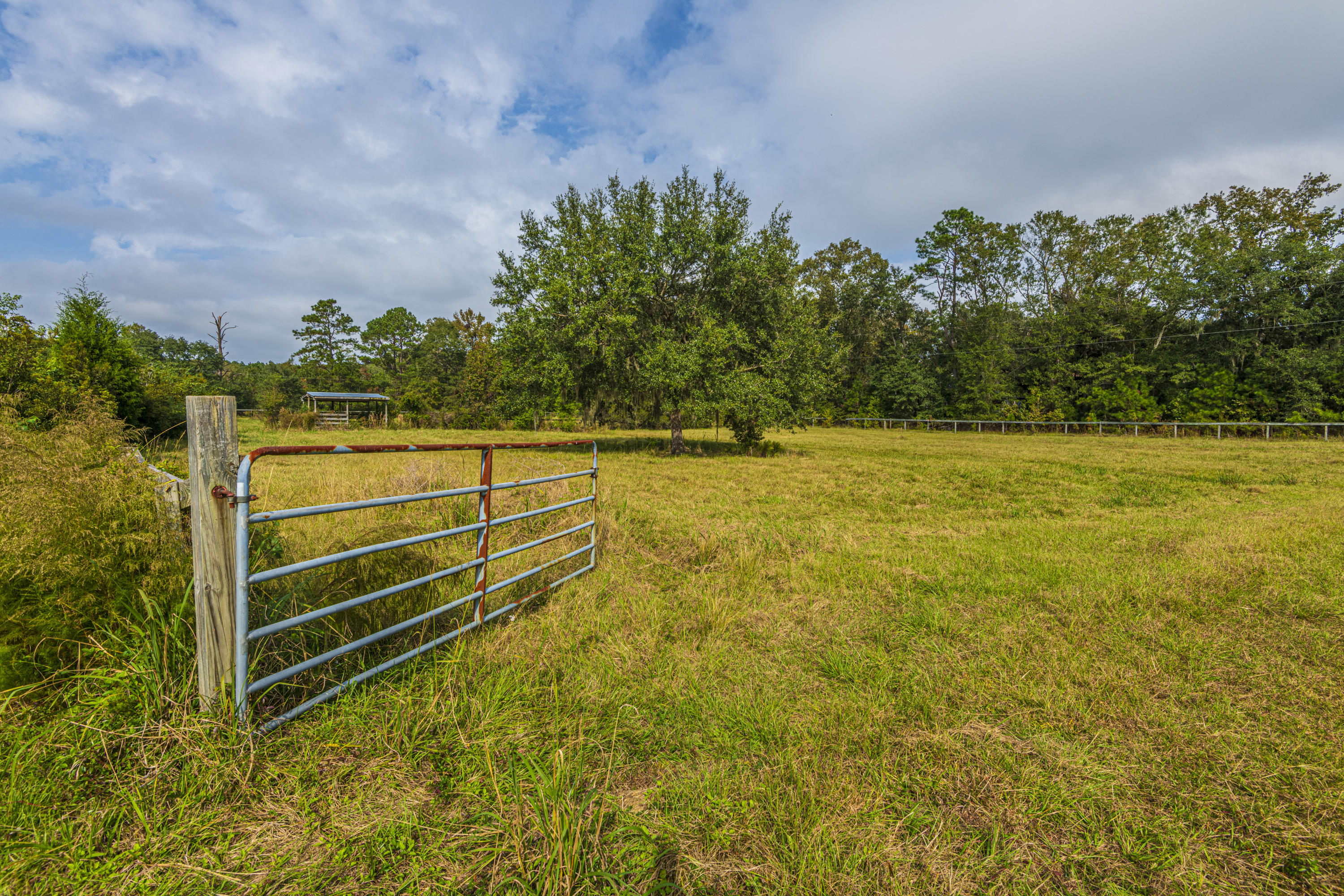 7022 Toogoodoo Road Meggett, SC 29449 - Photo 49 of 62 DSC_4080