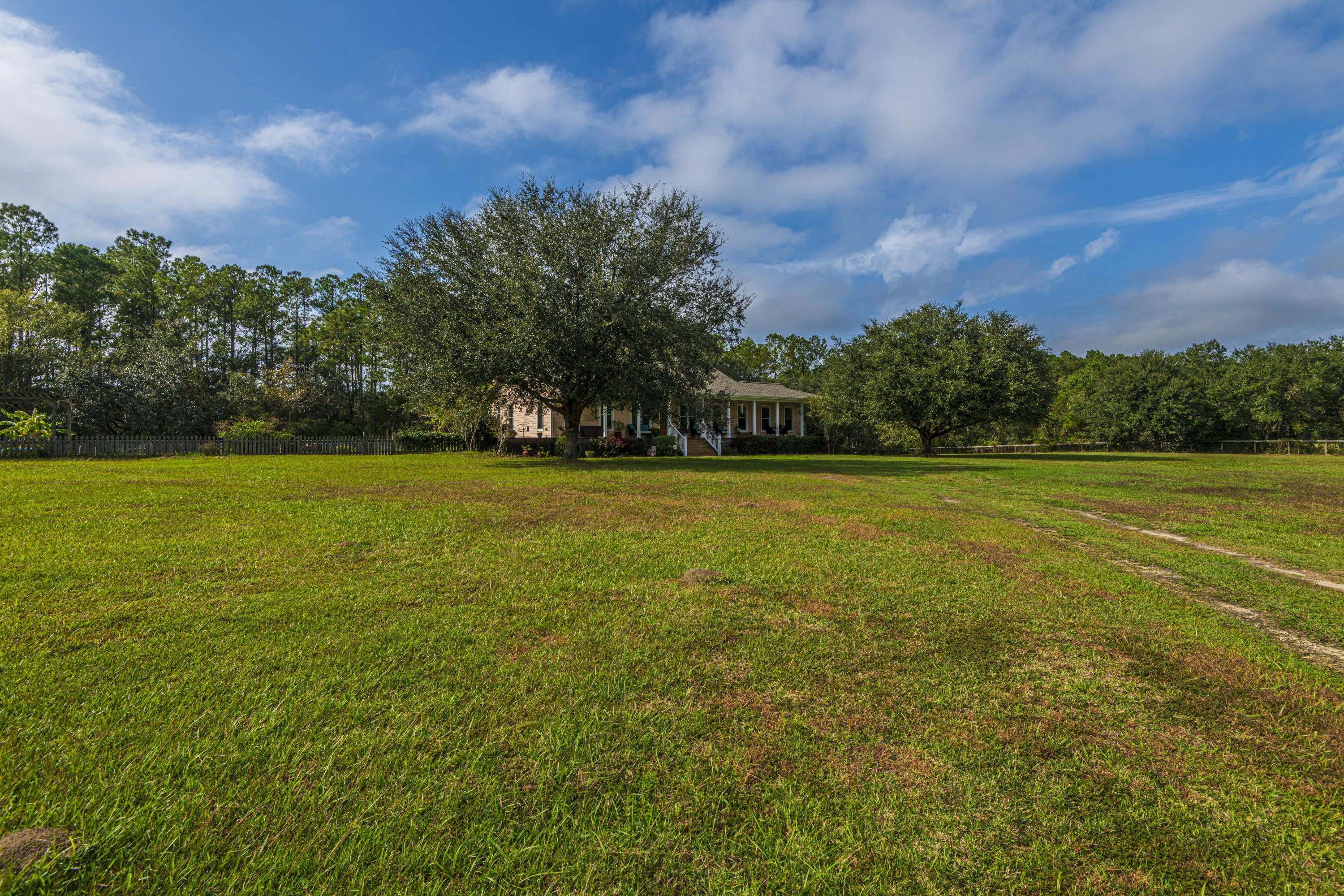 7022 Toogoodoo Road Meggett, SC 29449 - Photo 54 of 62 DSC_4088