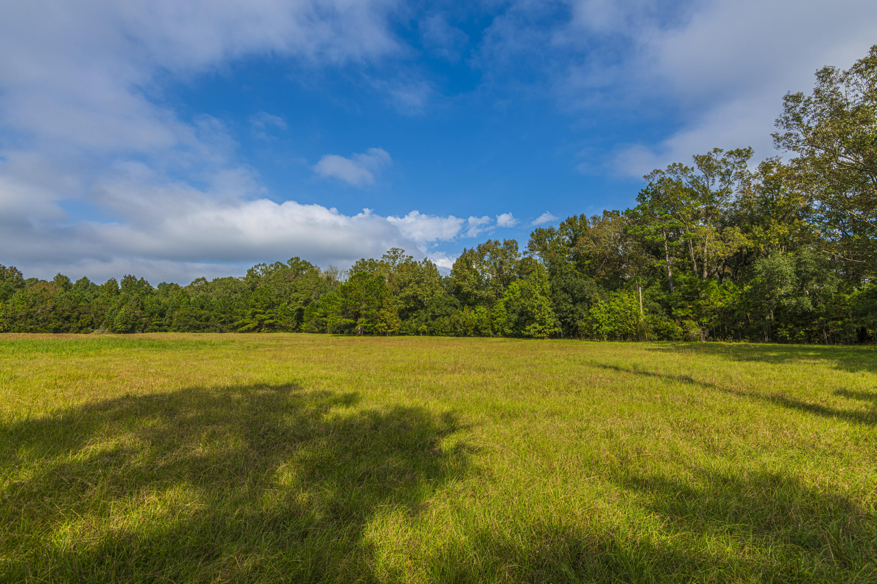 7022 Toogoodoo Road Meggett, SC 29449 - Photo 57 of 62 DSC_4105