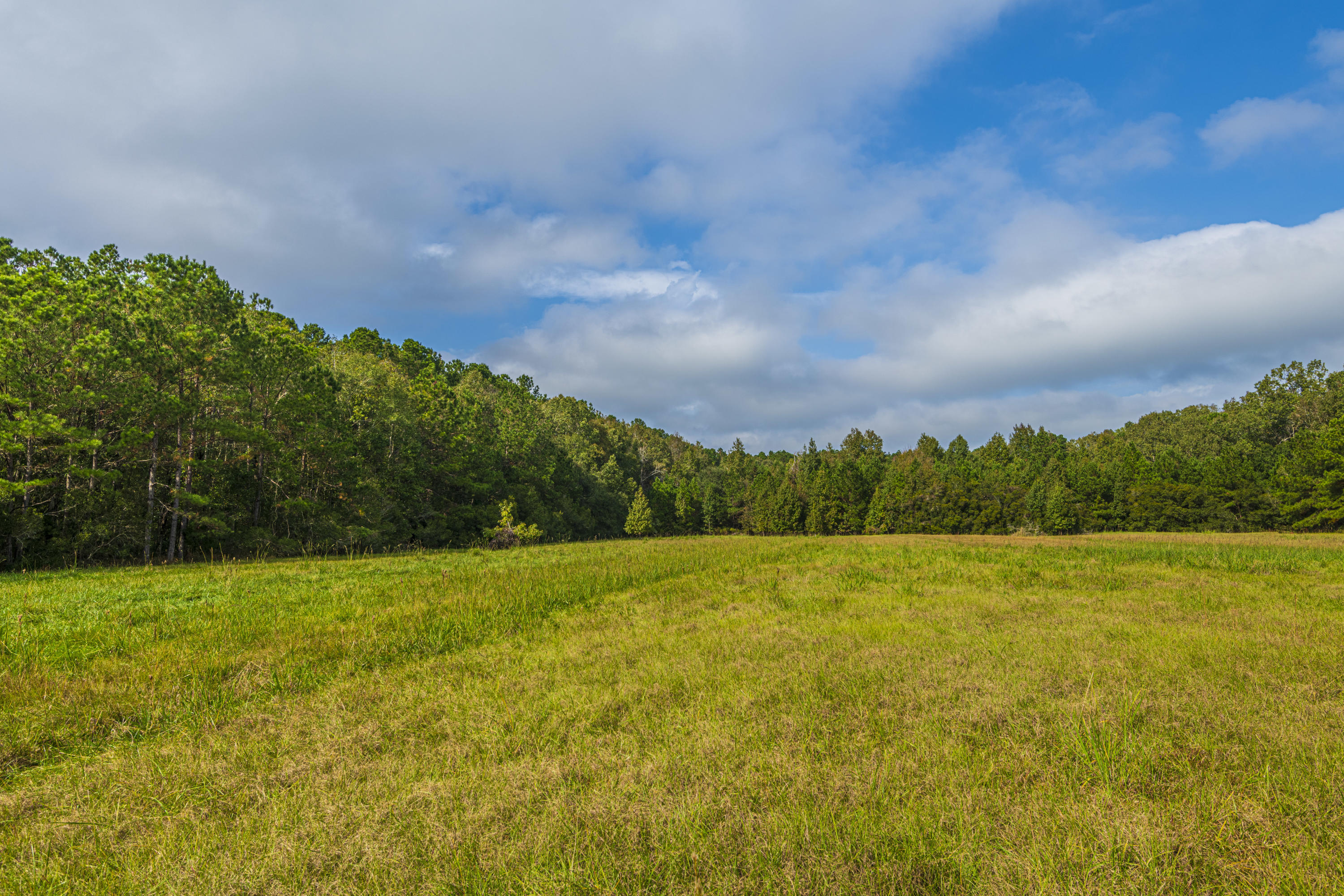 7022 Toogoodoo Road Meggett, SC 29449 - Photo 58 of 62 DSC_4107