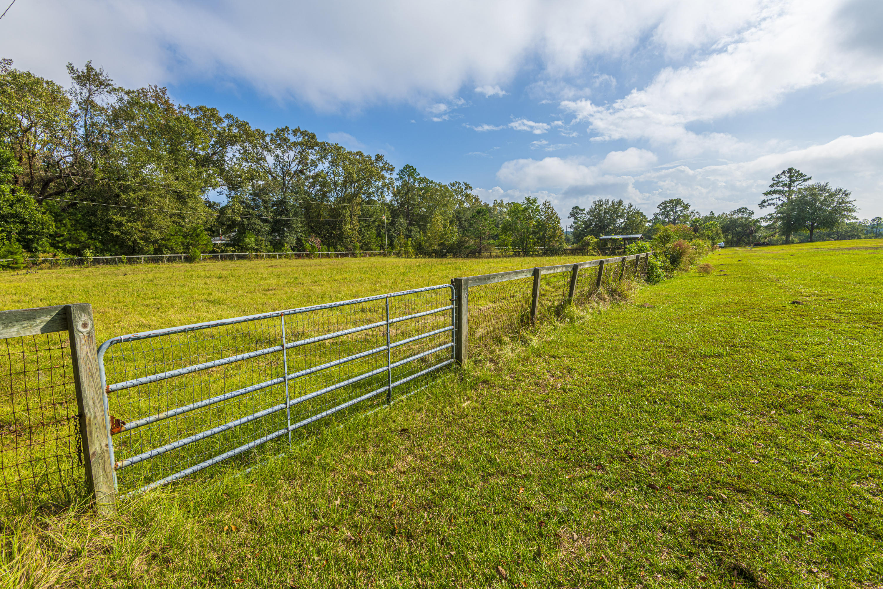 7022 Toogoodoo Road Meggett, SC 29449 - Photo 59 of 62 DSC_4108