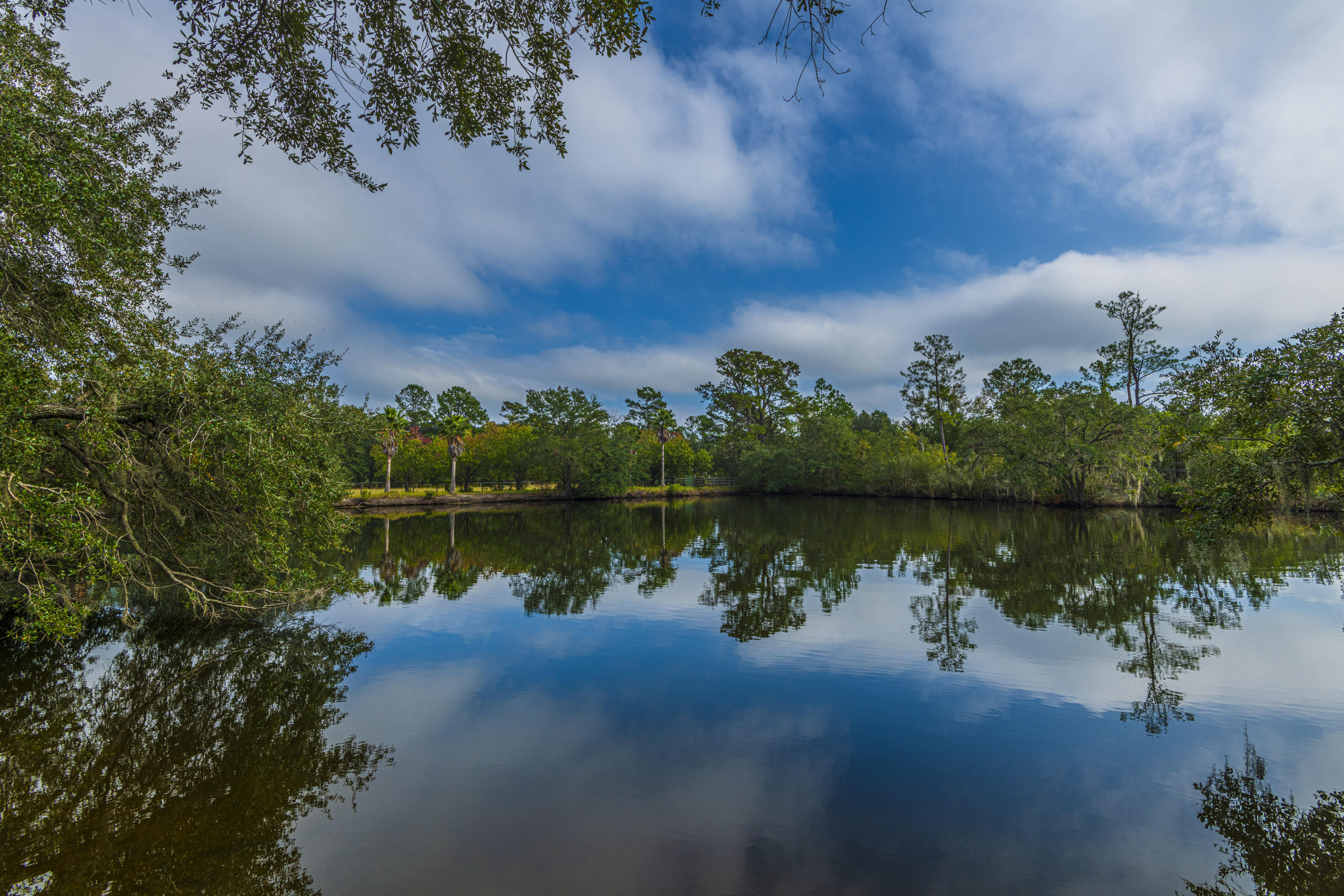7022 Toogoodoo Road Meggett, SC 29449 - Photo 61 of 62 DSC_4072