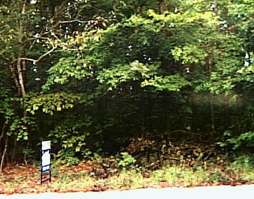 0 Tristram Road Chattanooga, TN 00000 - Photo 1 of 1 Primary Photo