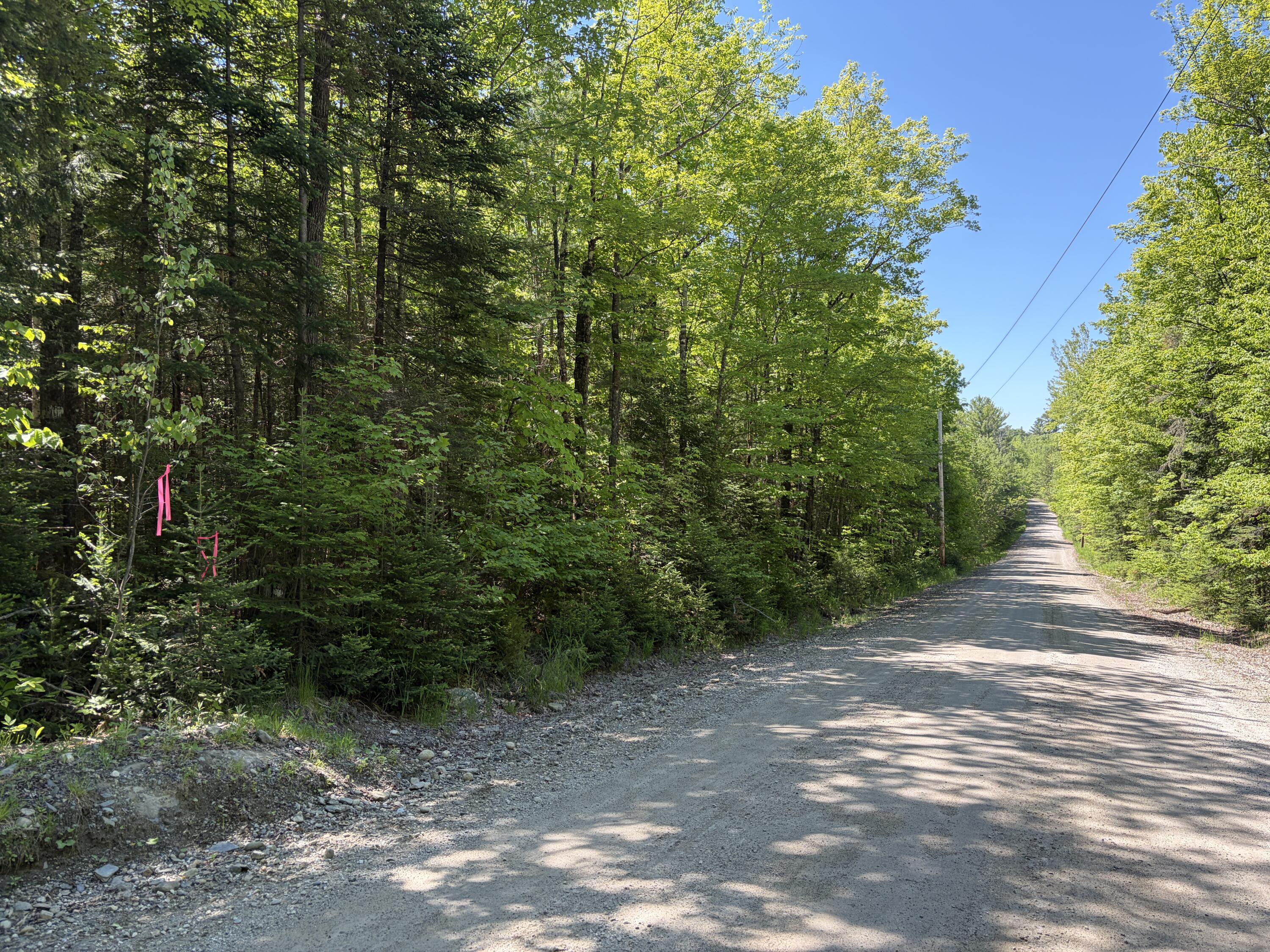 Lot 1 Holley Road Farmington, ME 04938 - Photo 2 of 12 IMG_7967