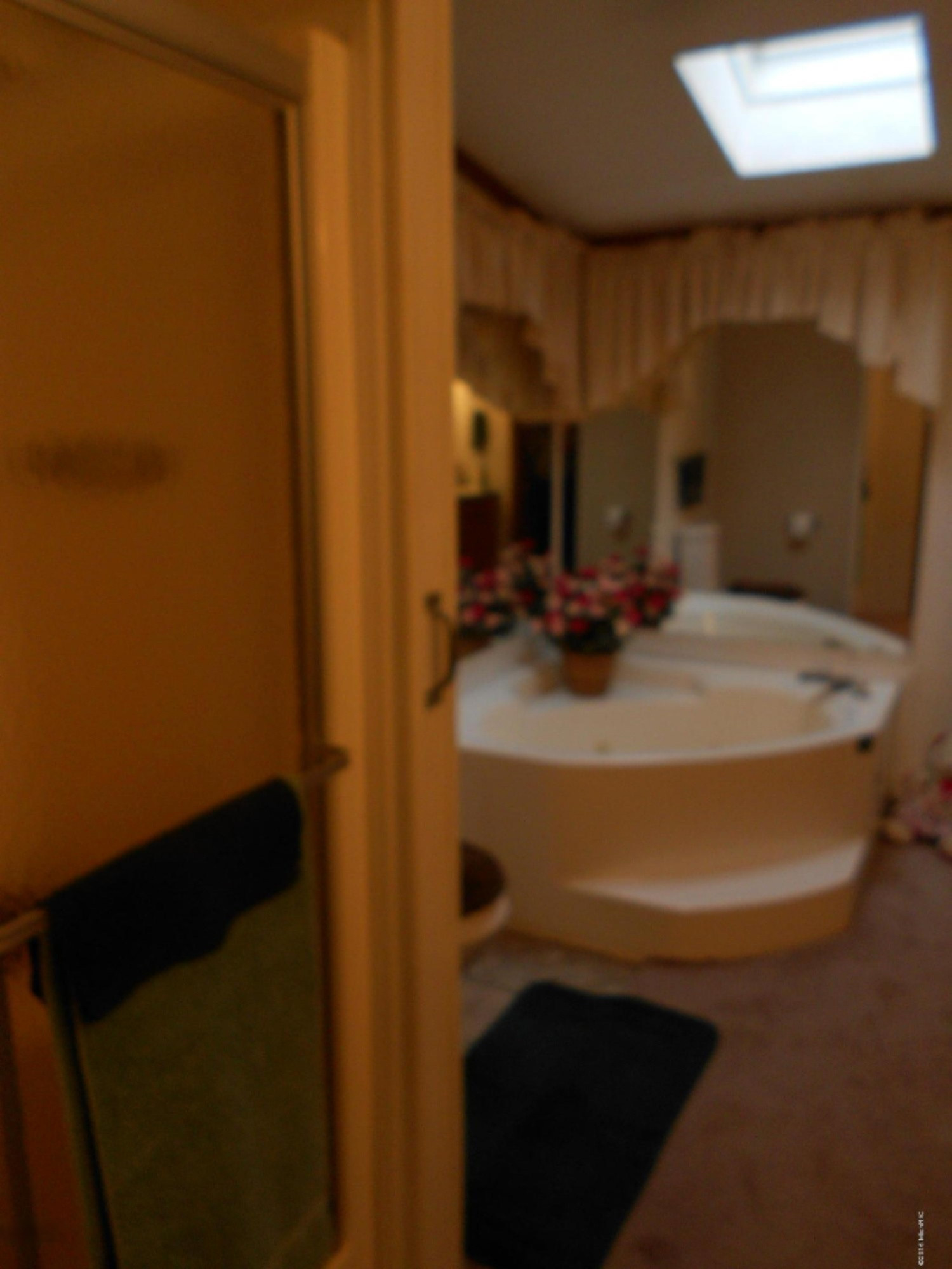5200 South Eden Lake Road Custer, MI 49405 - Photo 16 of 16 DSCN5194