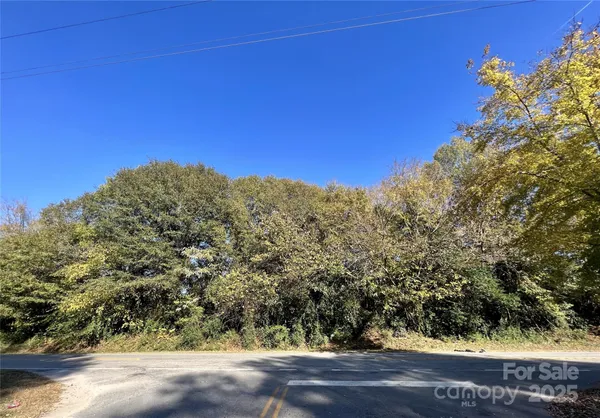 a view of a large tree with an outdoor space