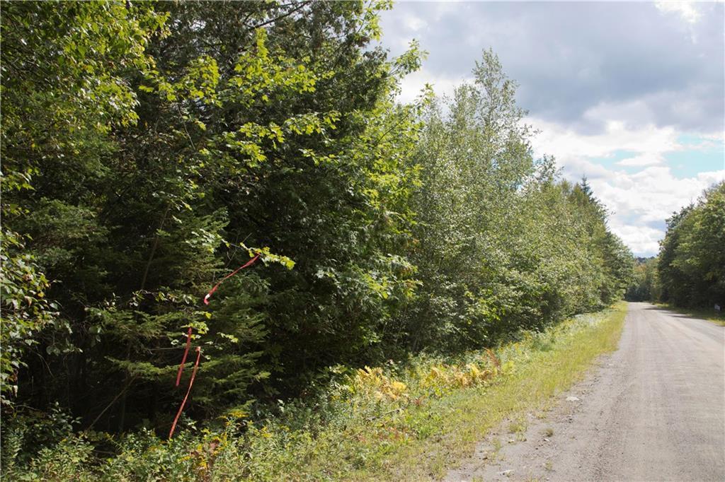 Tbd Cottrell Road Dixmont, ME 04932 - Photo 15 of 15 Along the west line of road frontage