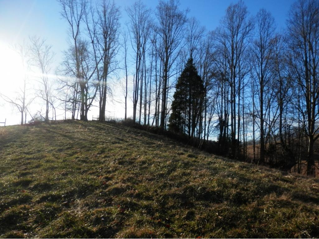0 Russelll Chapel Road Jonesville, VA 24263 - Photo 11 of 14 Photo 11