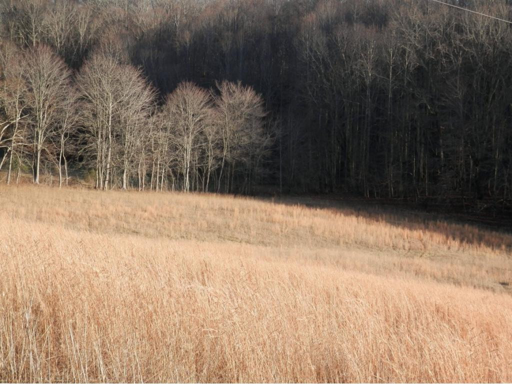 0 Russelll Chapel Road Jonesville, VA 24263 - Photo 14 of 14 Photo 14