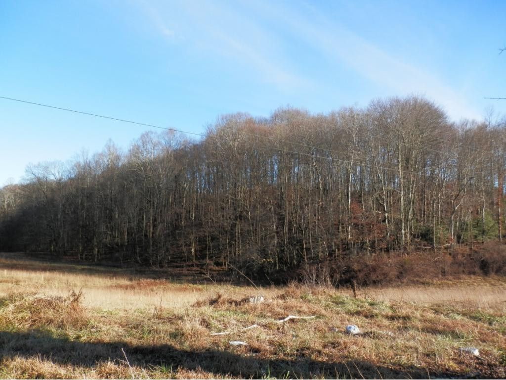 0 Russelll Chapel Road Jonesville, VA 24263 - Photo 2 of 14 Photo 2