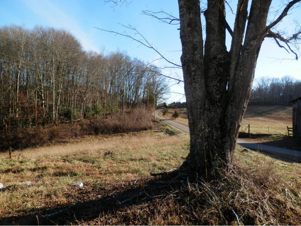 0 Russelll Chapel Road Jonesville, VA 24263 - Photo 3 of 14 Photo 3