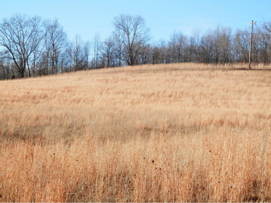 0 Russelll Chapel Road Jonesville, VA 24263 - Photo 7 of 14 Photo 7