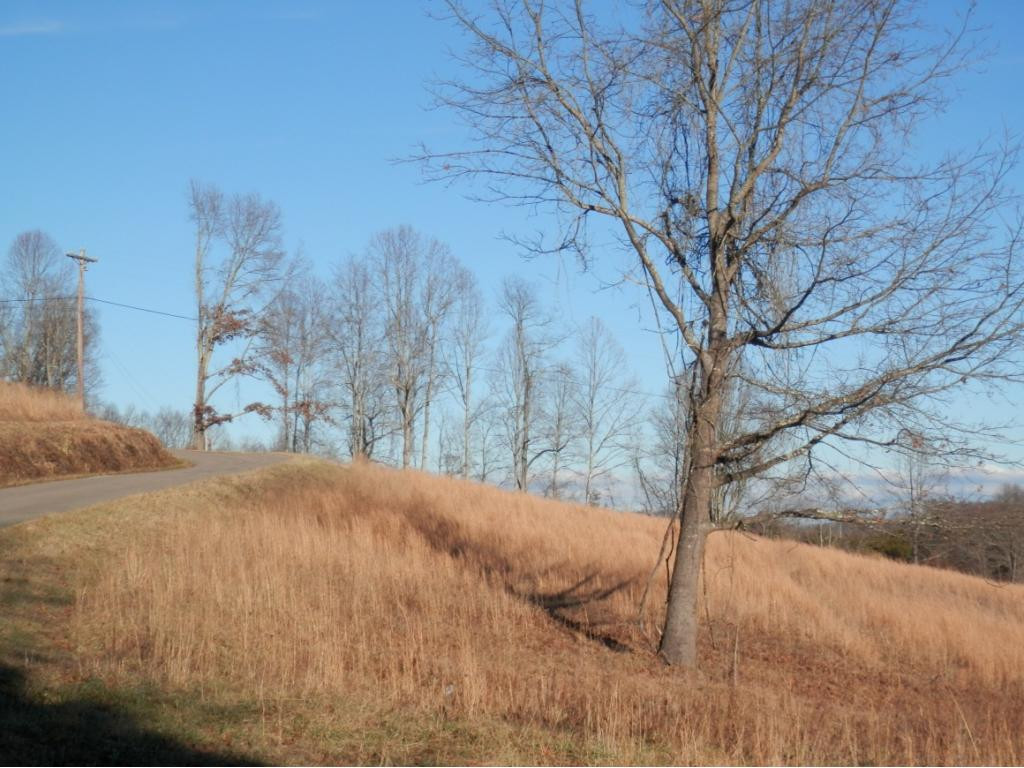0 Russelll Chapel Road Jonesville, VA 24263 - Photo 8 of 14 Photo 8