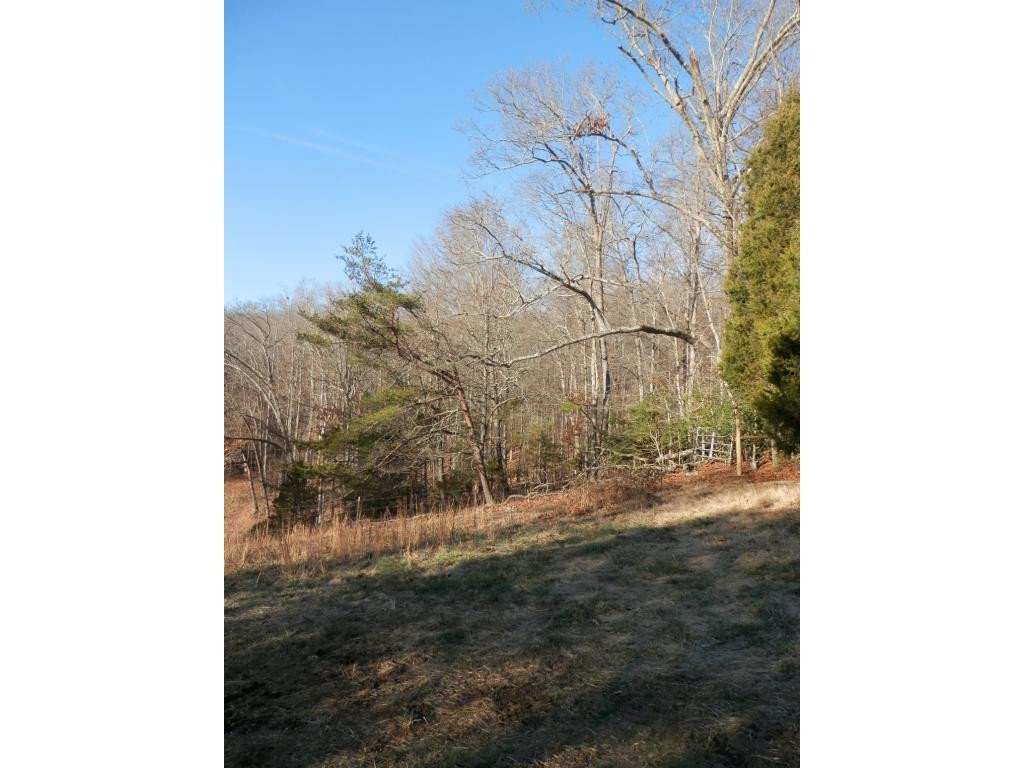 0 Russelll Chapel Road Jonesville, VA 24263 - Photo 9 of 14 Photo 9