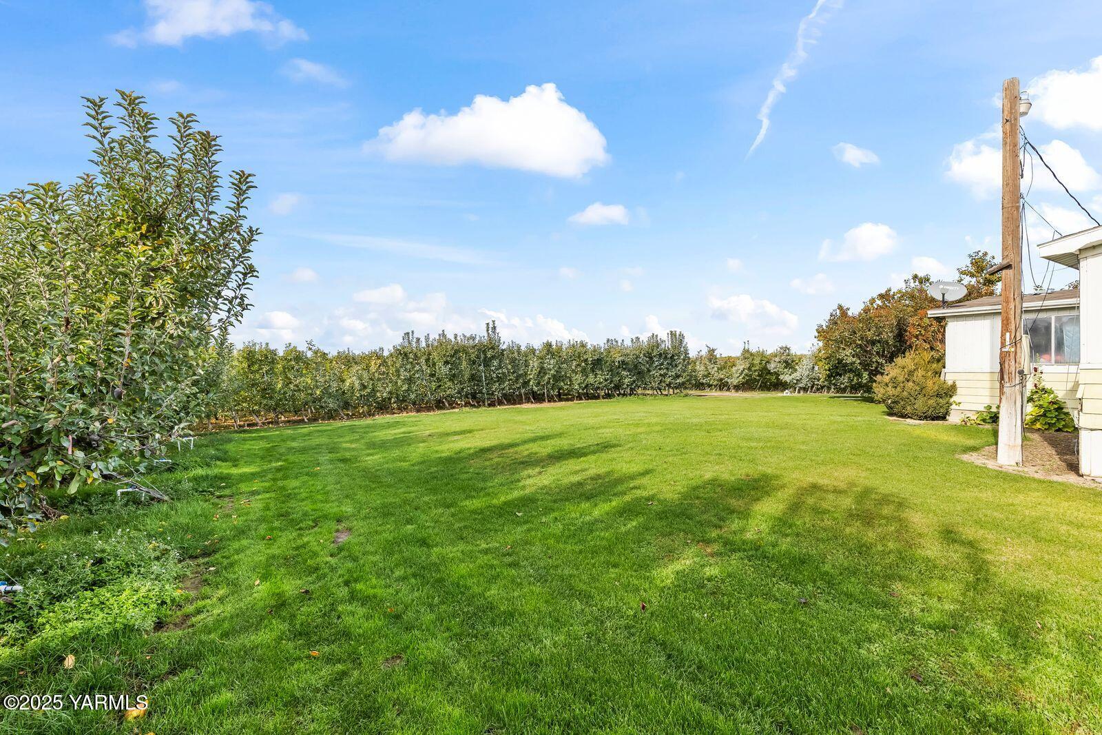 370 Macy Road Zillah, WA 98953 - Photo 19 of 42 a view of a green field with wooden fence