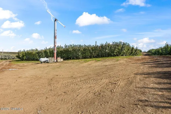 a view of a yard with outside space