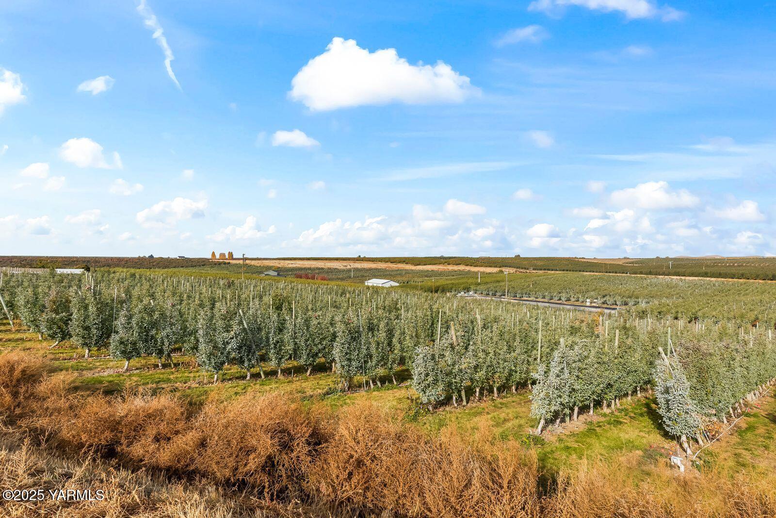 370 Macy Road Zillah, WA 98953 - Photo 8 of 42 a view of an ocean