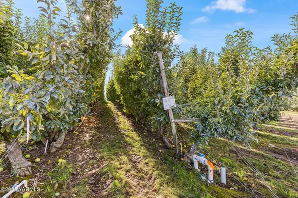 a map view of a multi story yard