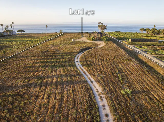 a picture of a book and a yard