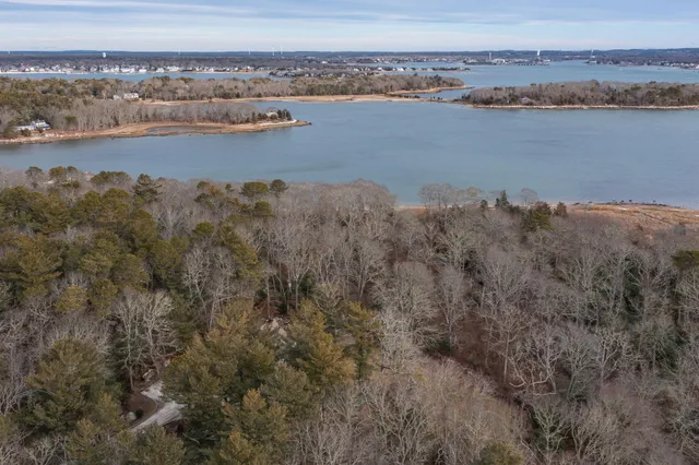 a view of a lake with a mountain in the back