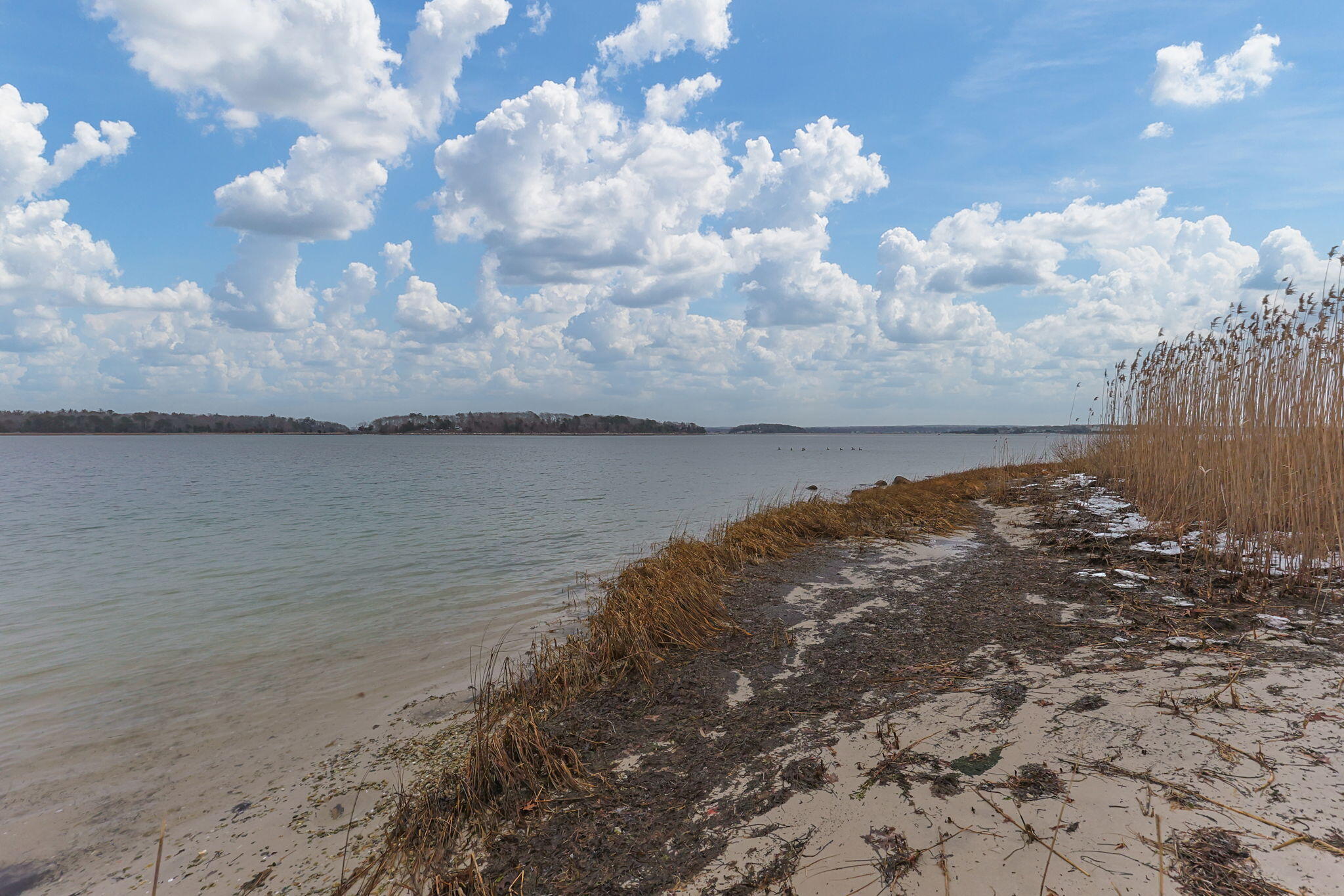248 Great Neck Road Wareham, MA 02571 - Photo 8 of 54 a view of a lake in between the two trees
