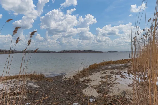 a view of a dry yard with wooden fence