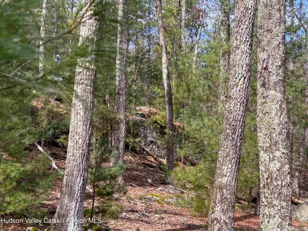 $279,000 | 701 Lapla Road, Marbletown, NY 12401