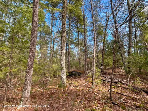 $279,000 | 701 Lapla Road, Marbletown, NY 12401