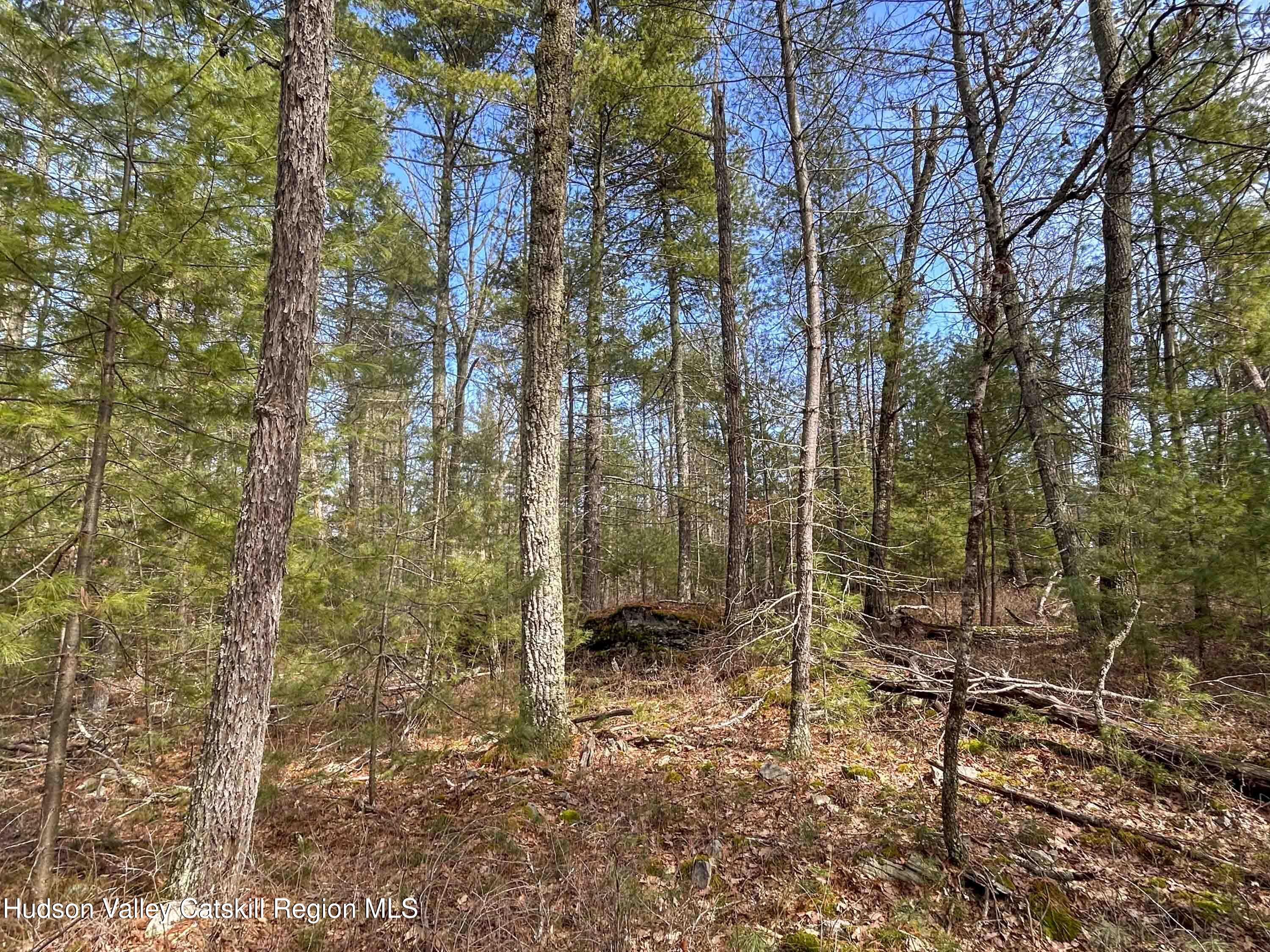 701 Lapla Road Marbletown, NY 12401 - Photo 12 of 26 IMG_9007