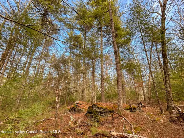 $279,000 | 701 Lapla Road, Marbletown, NY 12401