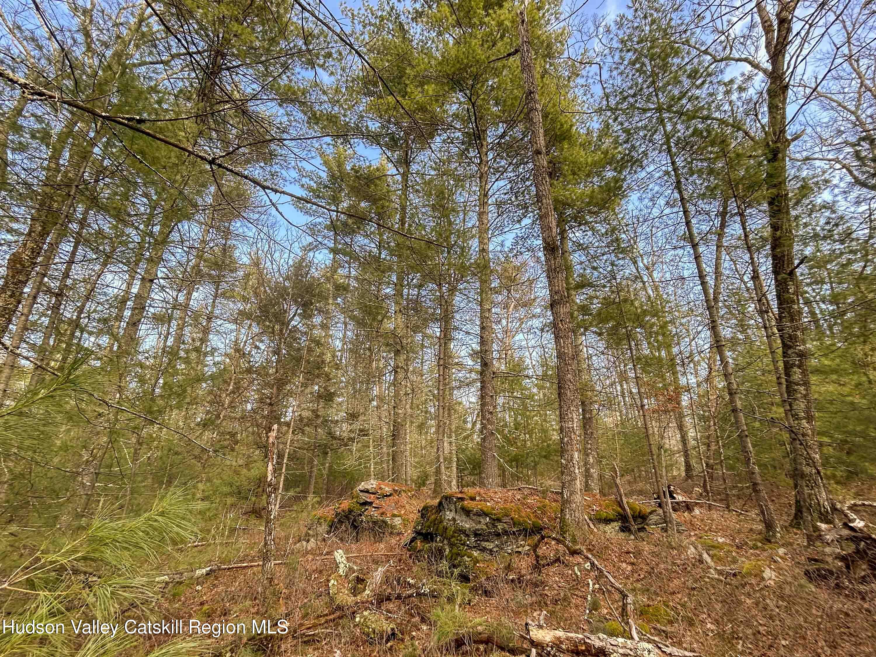 701 Lapla Road Marbletown, NY 12401 - Photo 13 of 26 IMG_8999