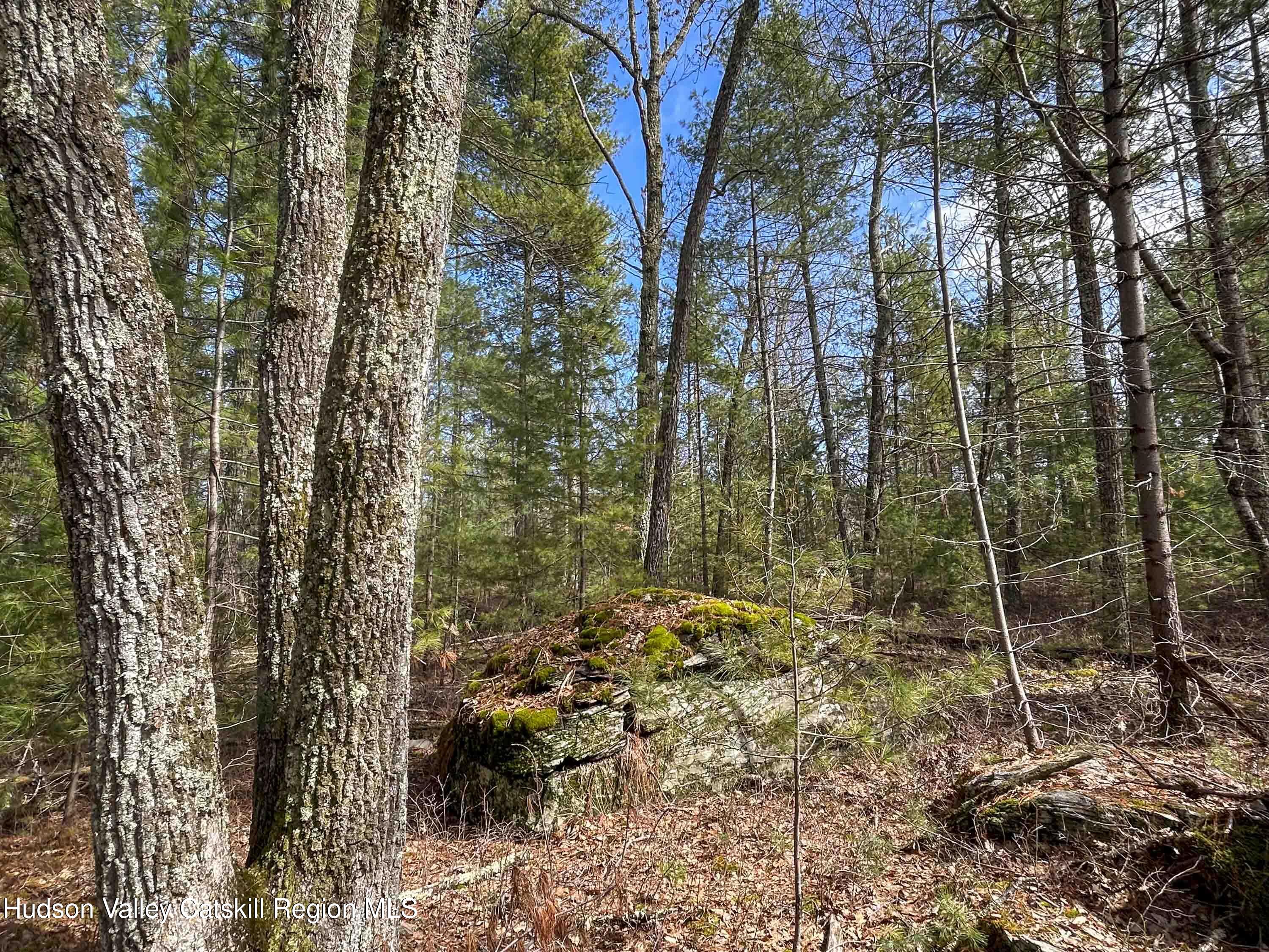 701 Lapla Road Marbletown, NY 12401 - Photo 14 of 26 IMG_9013