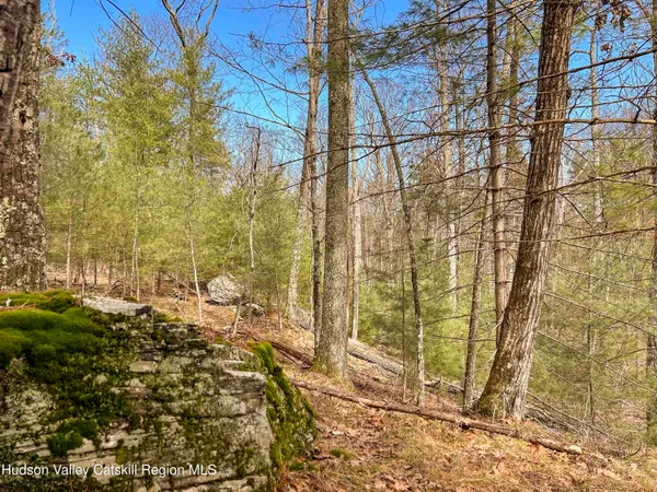 $279,000 | 701 Lapla Road, Marbletown, NY 12401