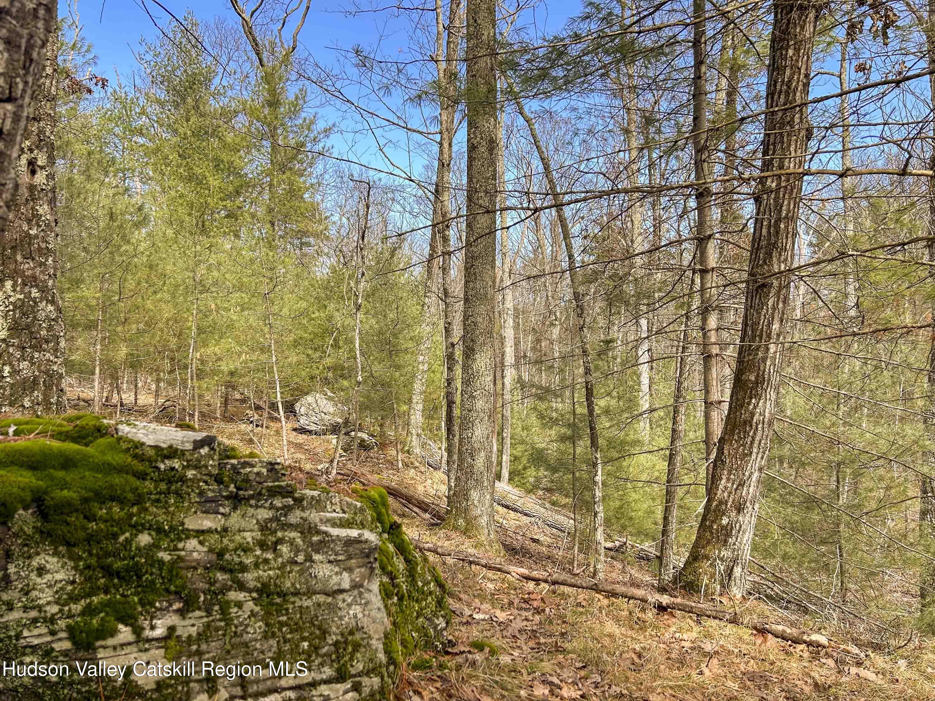 701 Lapla Road Marbletown, NY 12401 - Photo 15 of 26 IMG_8974