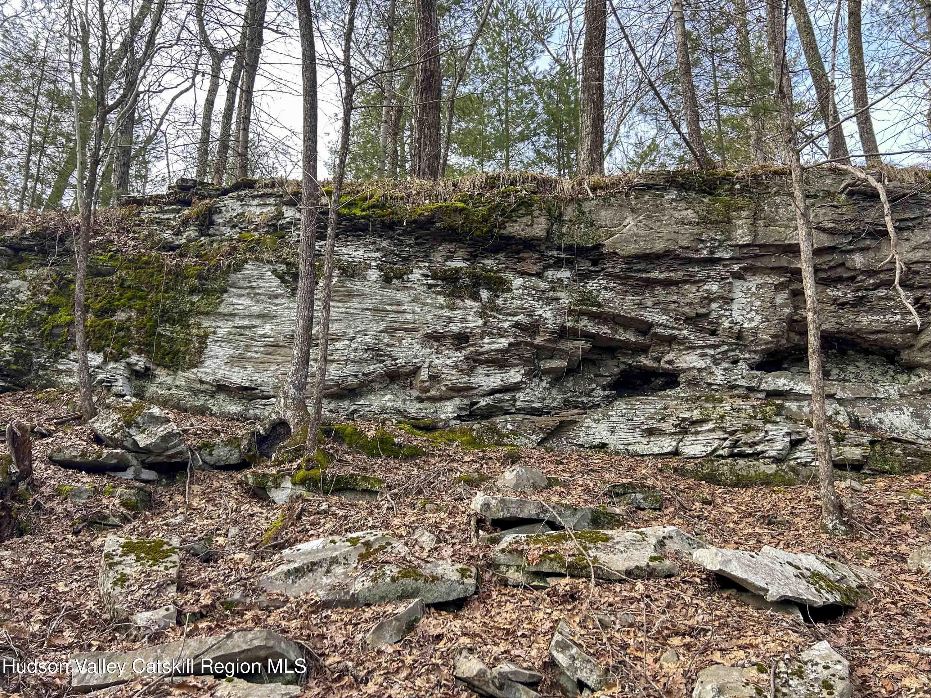 701 Lapla Road Marbletown, NY 12401 - Photo 16 of 26 IMG_8934