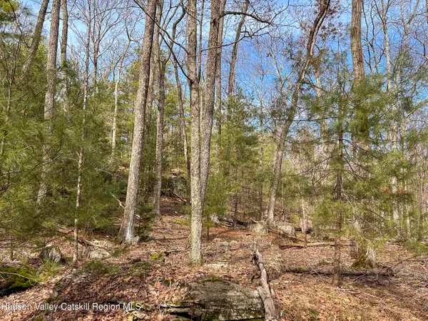 $279,000 | 701 Lapla Road, Marbletown, NY 12401