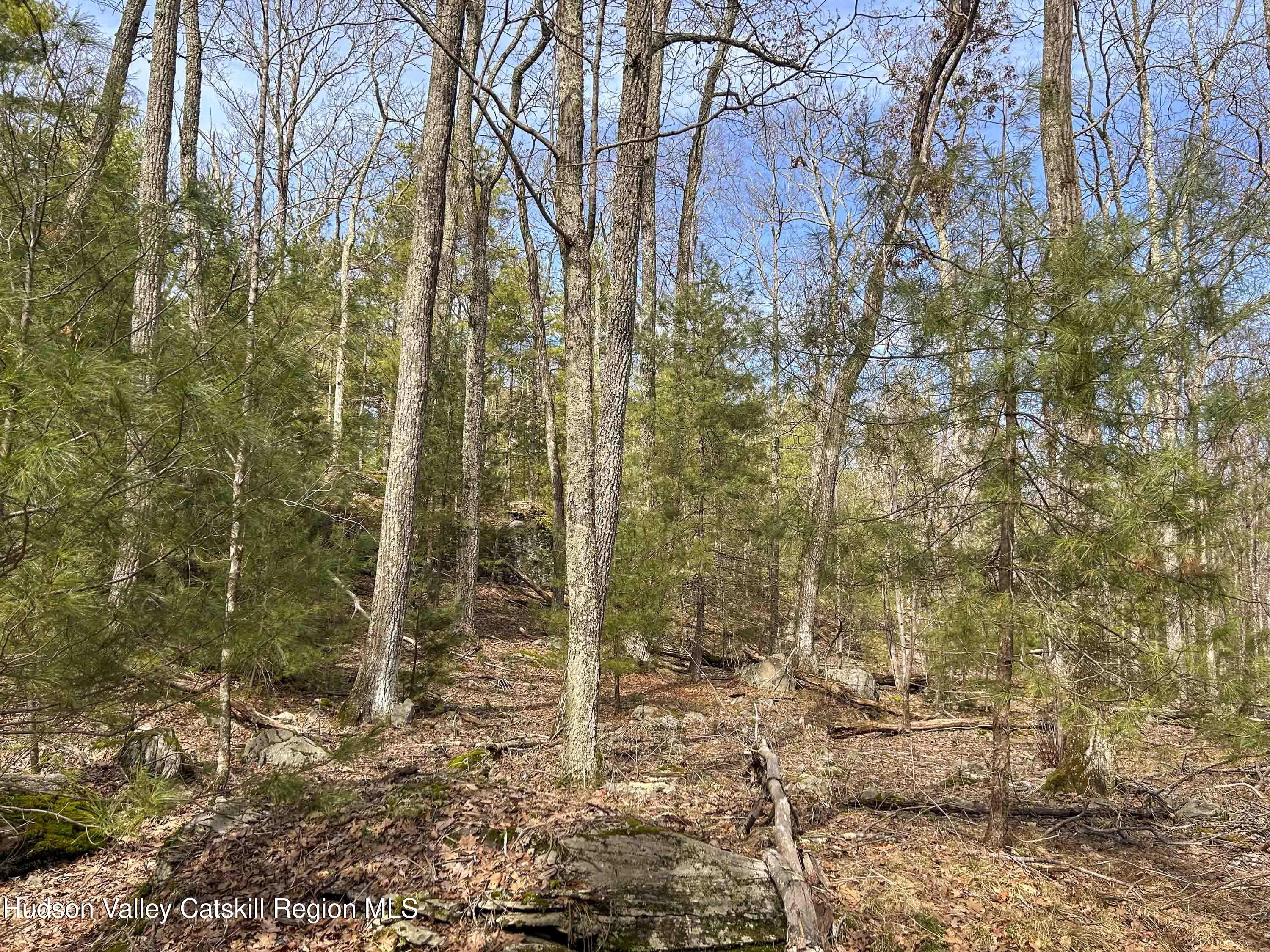 701 Lapla Road Marbletown, NY 12401 - Photo 18 of 26 IMG_8937