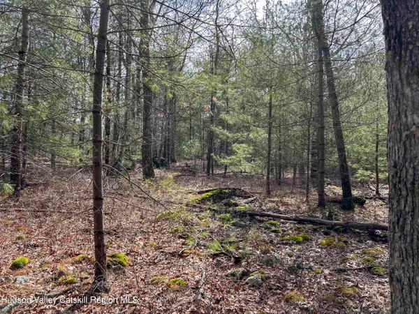 $279,000 | 701 Lapla Road, Marbletown, NY 12401