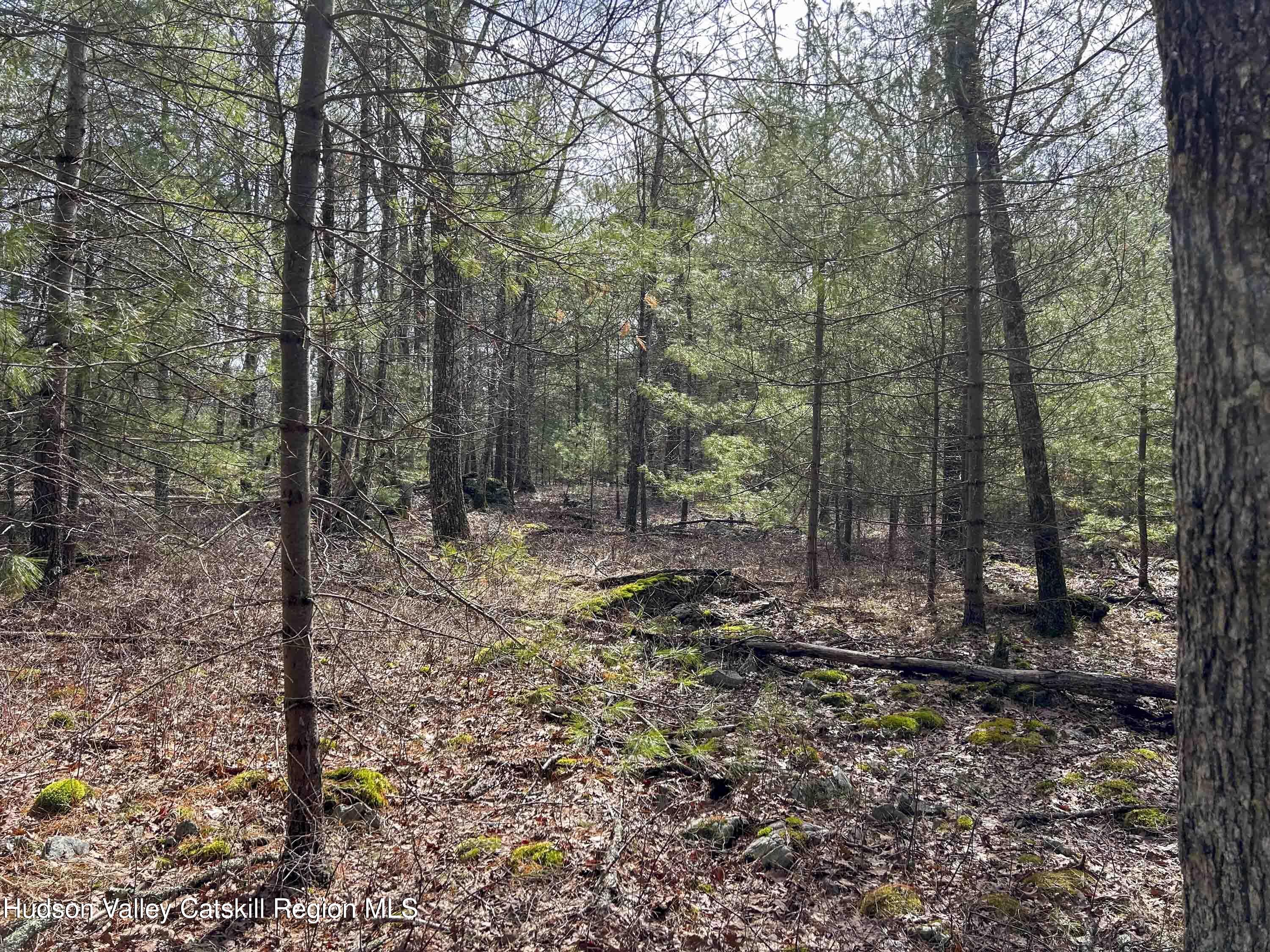 701 Lapla Road Marbletown, NY 12401 - Photo 20 of 26 IMG_8968