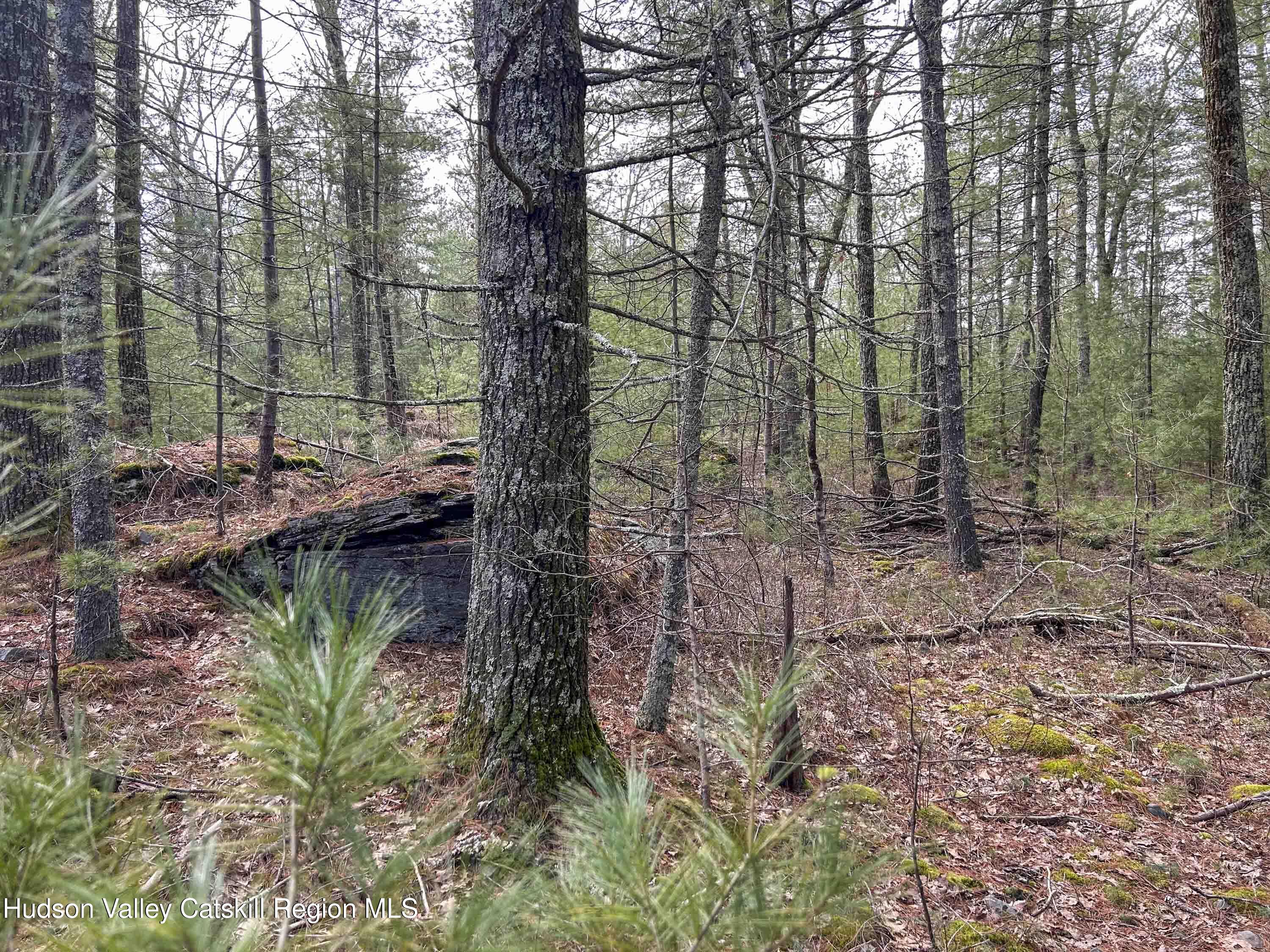 701 Lapla Road Marbletown, NY 12401 - Photo 22 of 26 IMG_8983