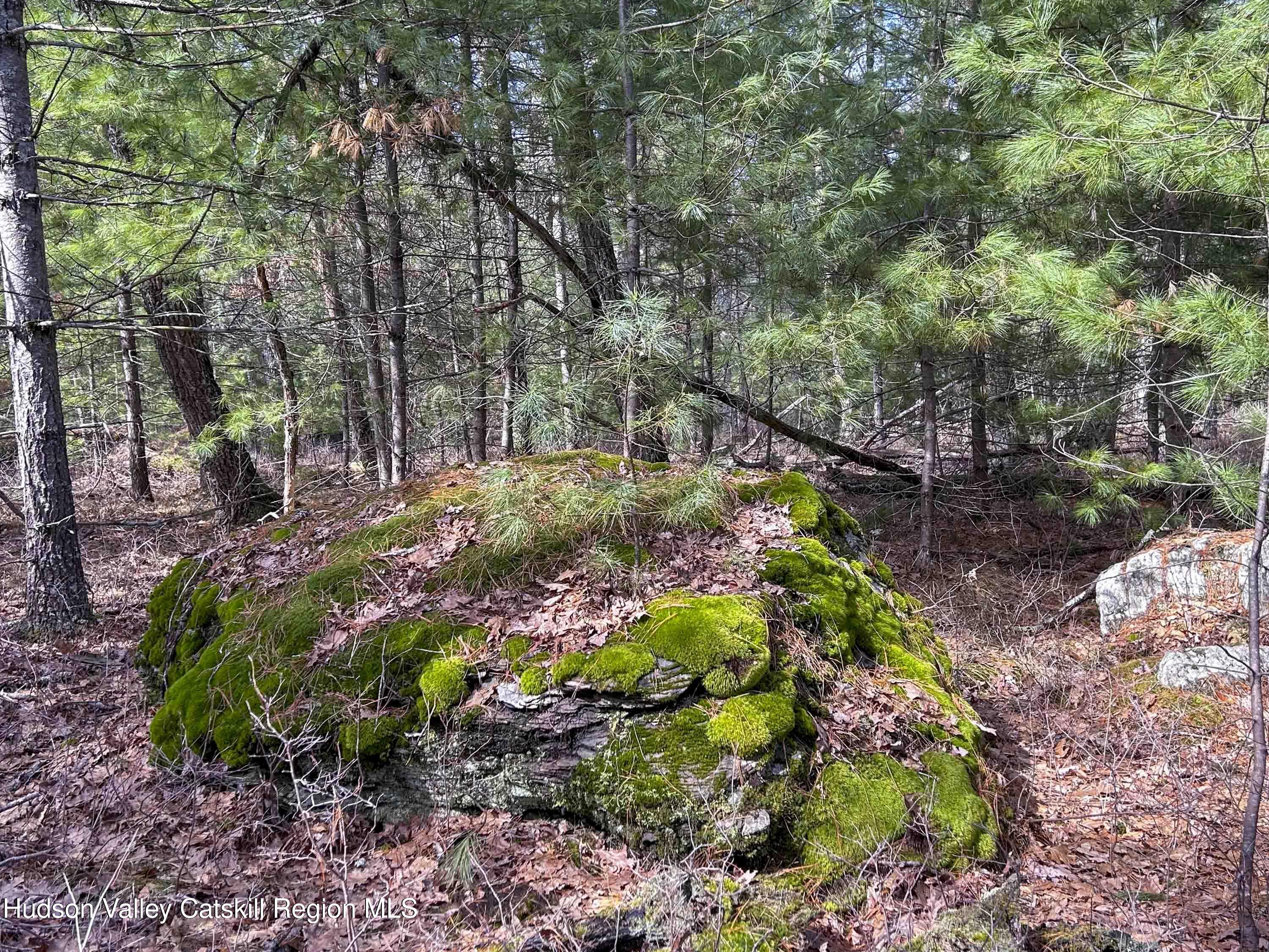 701 Lapla Road Marbletown, NY 12401 - Photo 23 of 26 IMG_8976