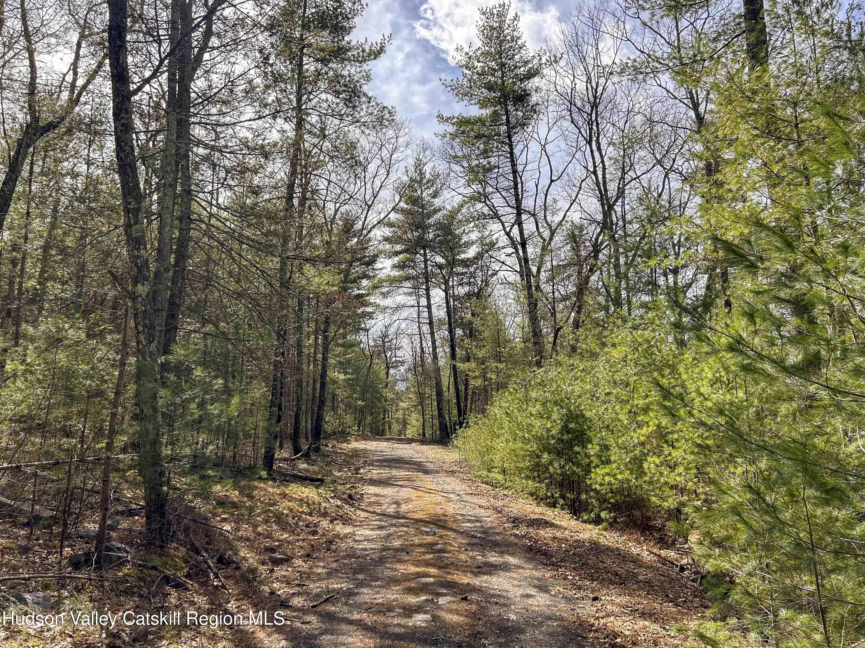 701 Lapla Road Marbletown, NY 12401 - Photo 24 of 26 IMG_9020