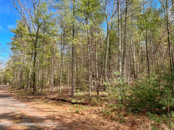 $279,000 | 701 Lapla Road, Marbletown, NY 12401