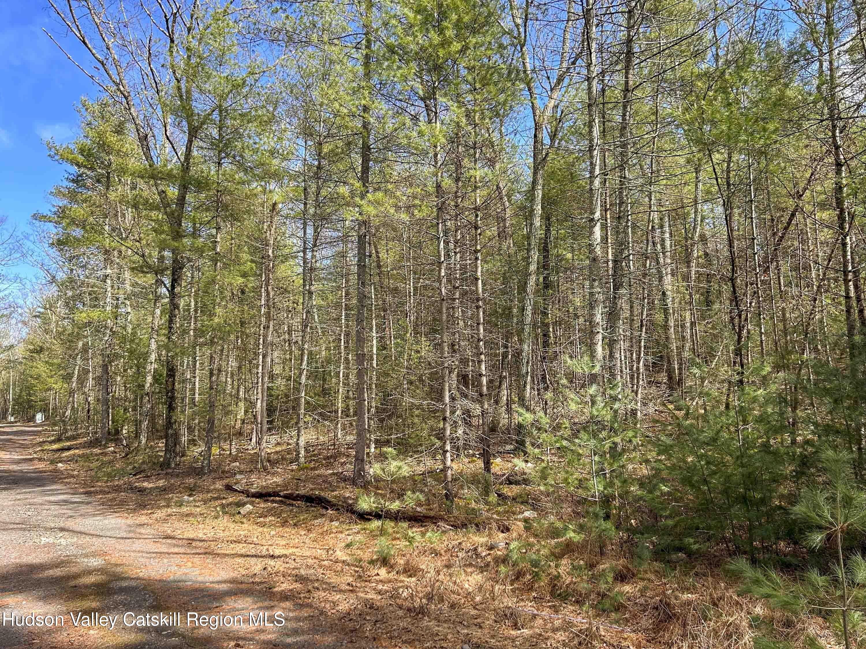 701 Lapla Road Marbletown, NY 12401 - Photo 25 of 26 IMG_9022