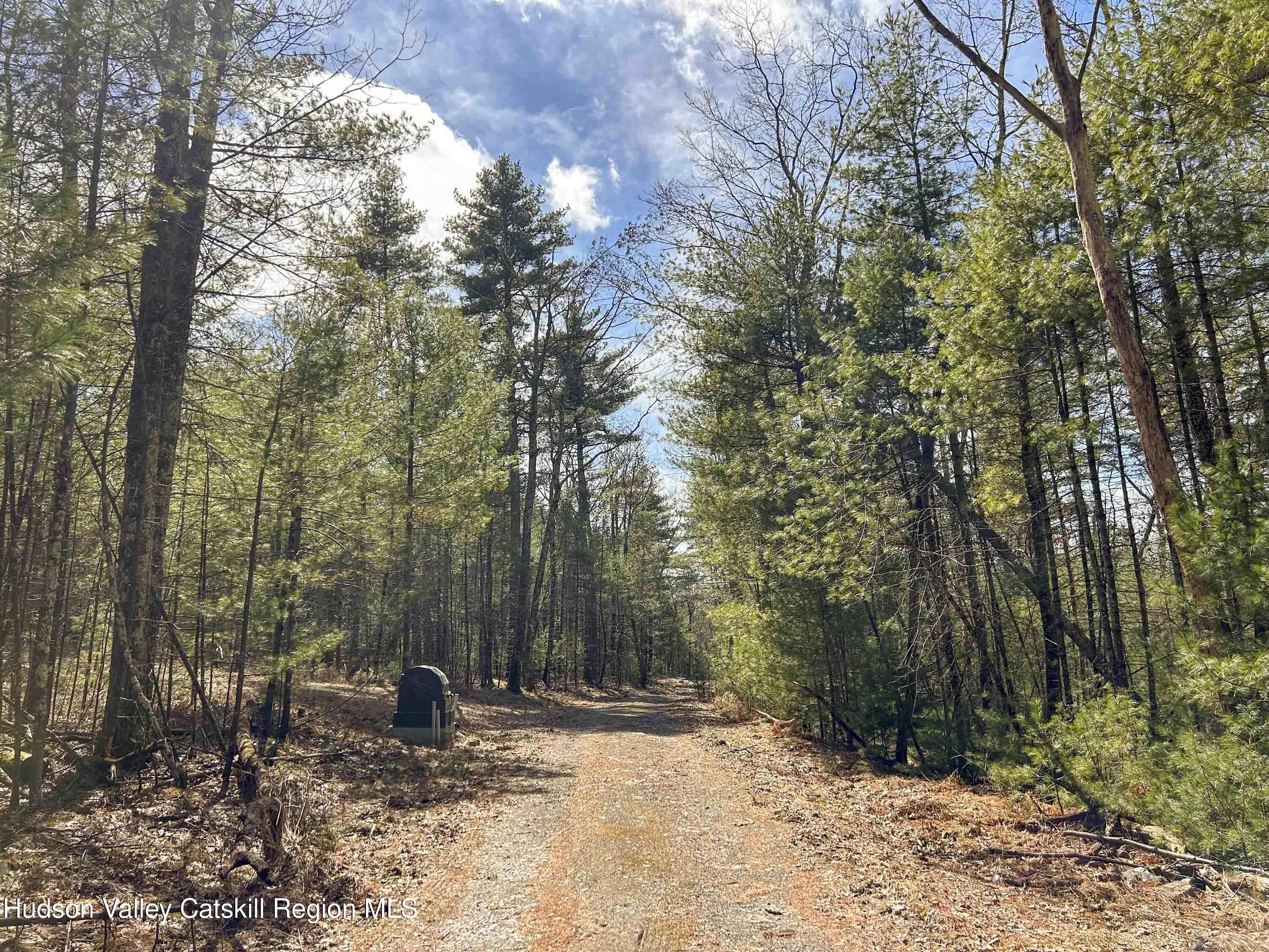 701 Lapla Road Marbletown, NY 12401 - Photo 3 of 26 IMG_9050