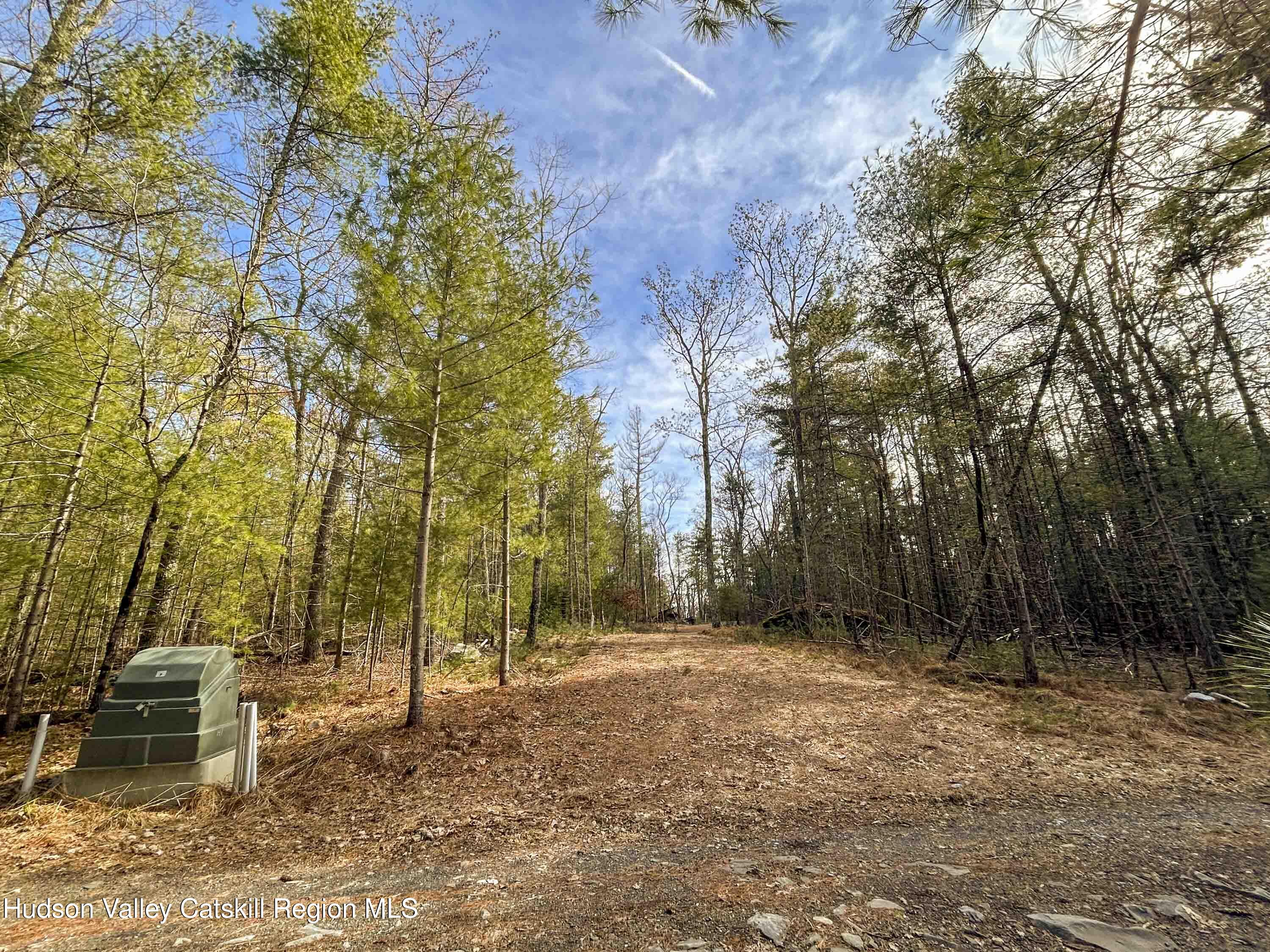 701 Lapla Road Marbletown, NY 12401 - Photo 4 of 26 IMG_9031