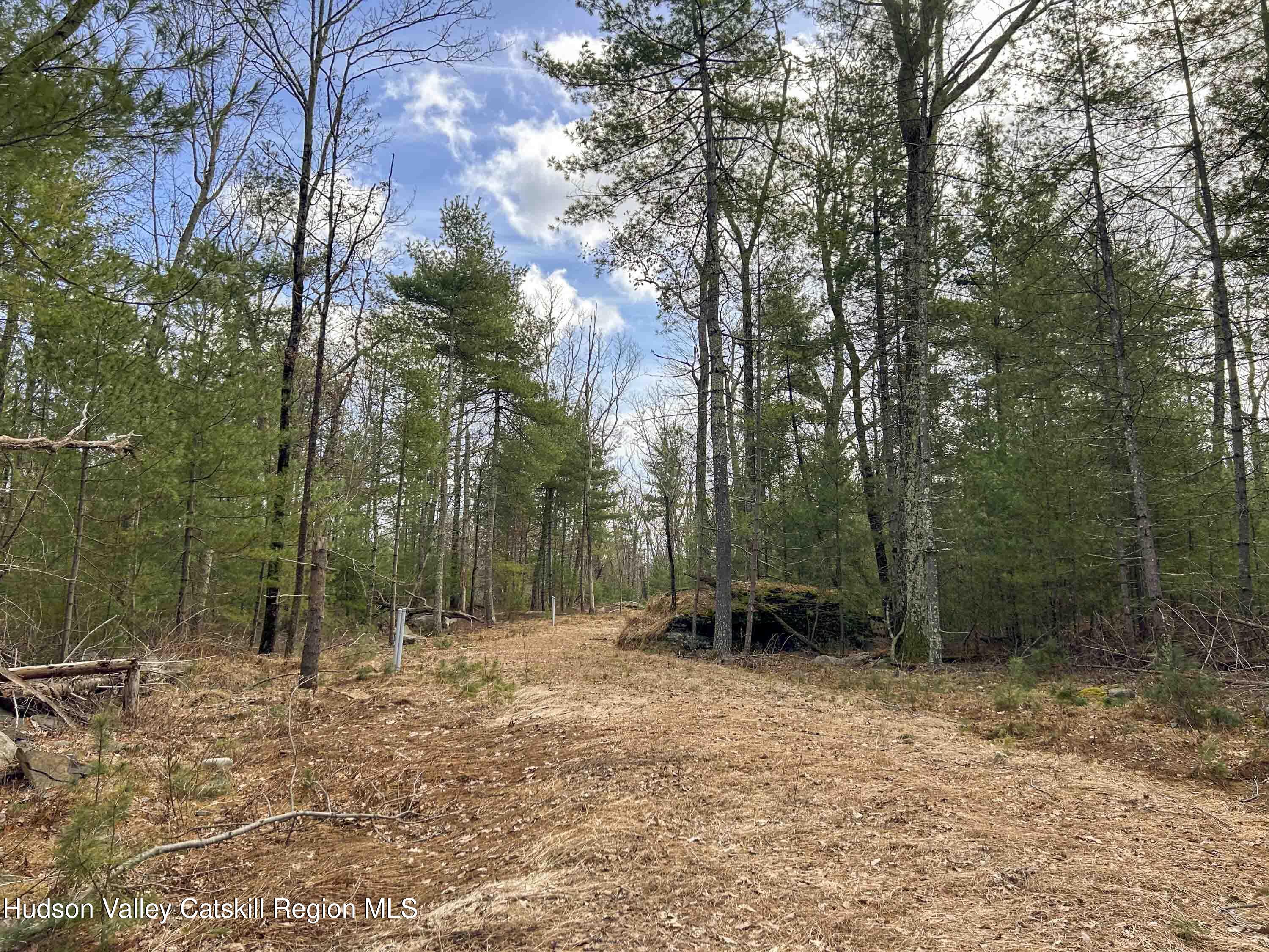 701 Lapla Road Marbletown, NY 12401 - Photo 5 of 26 IMG_8922
