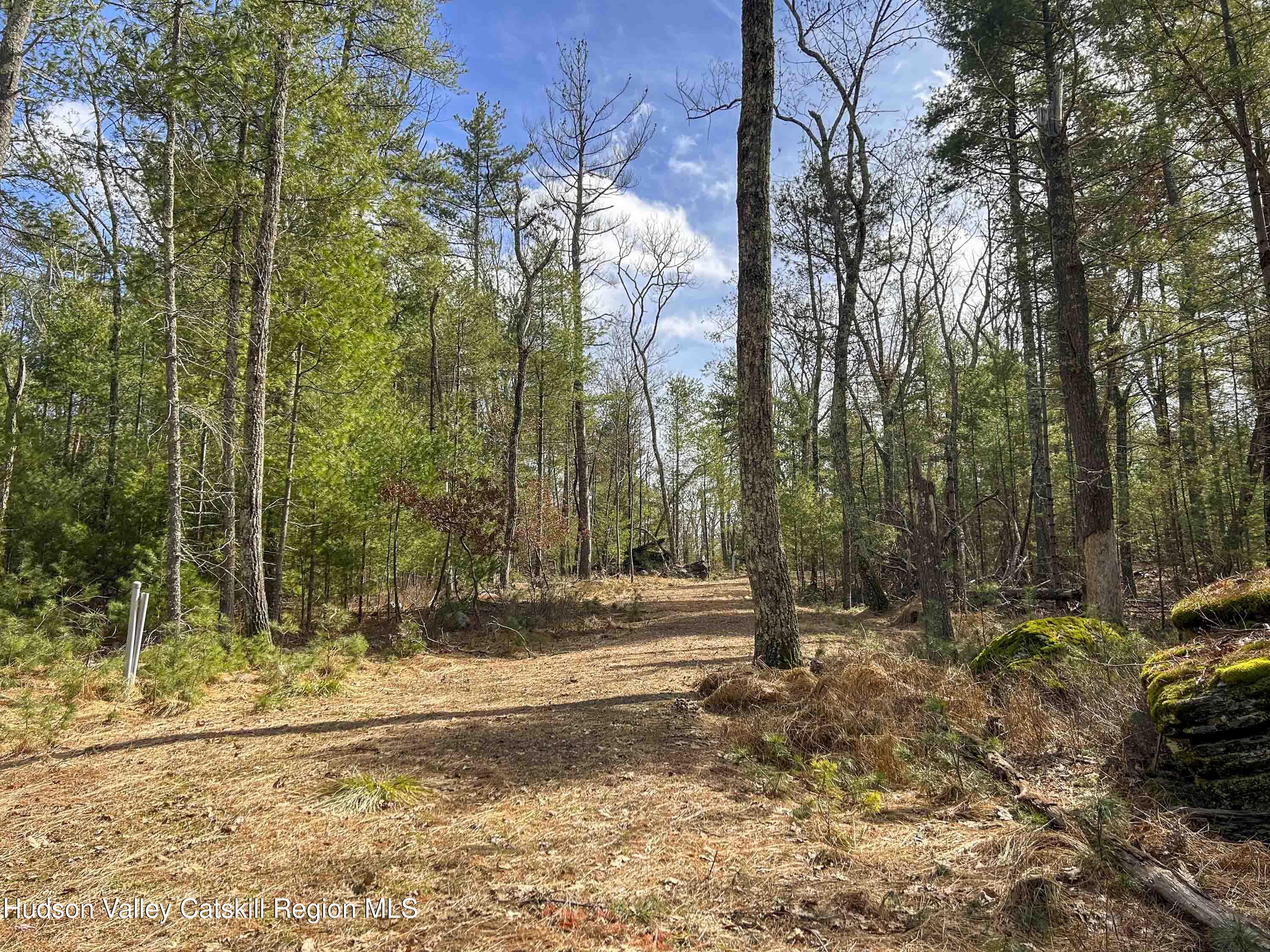 701 Lapla Road Marbletown, NY 12401 - Photo 6 of 26 IMG_9019