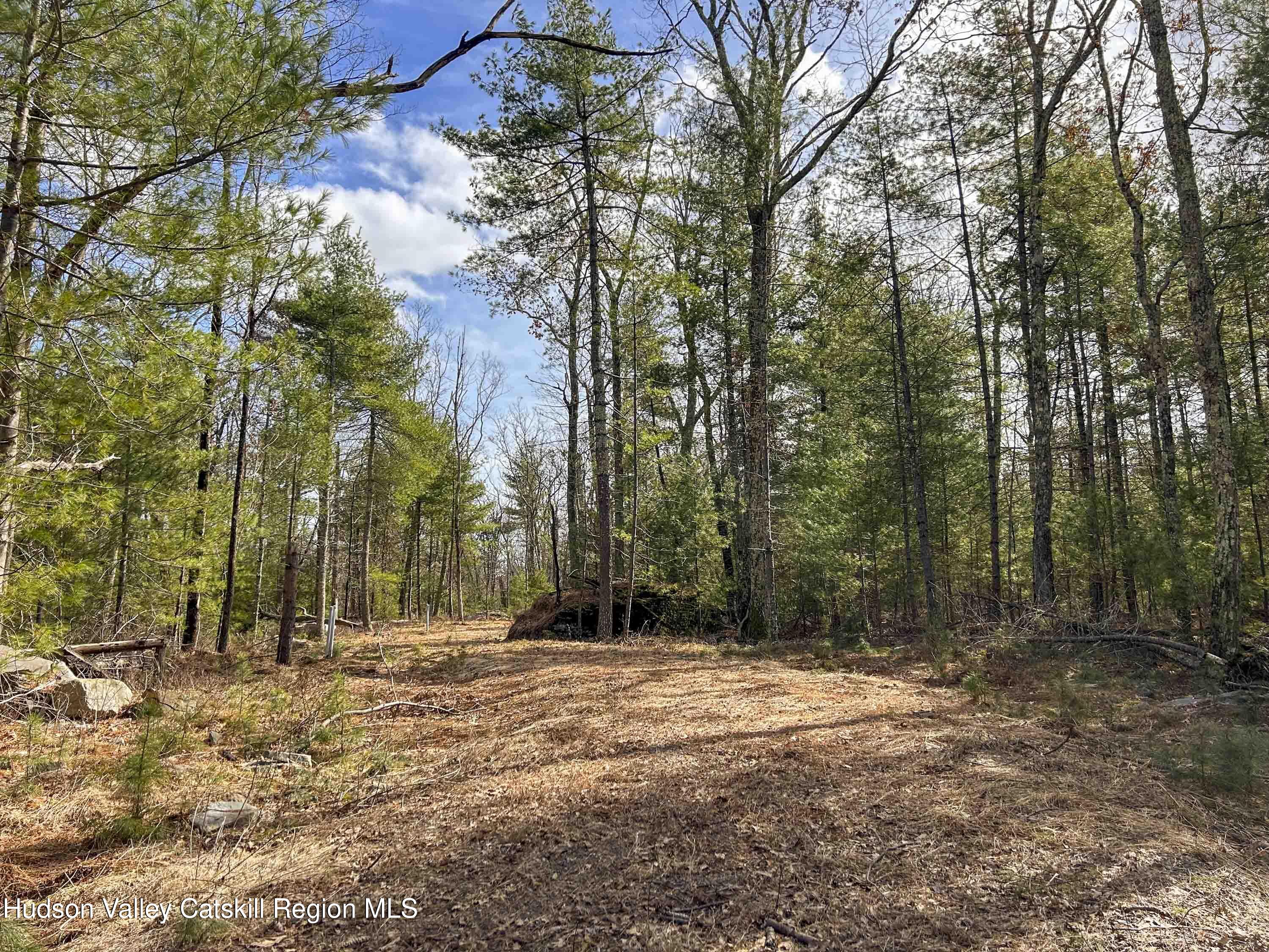 701 Lapla Road Marbletown, NY 12401 - Photo 7 of 26 IMG_9014