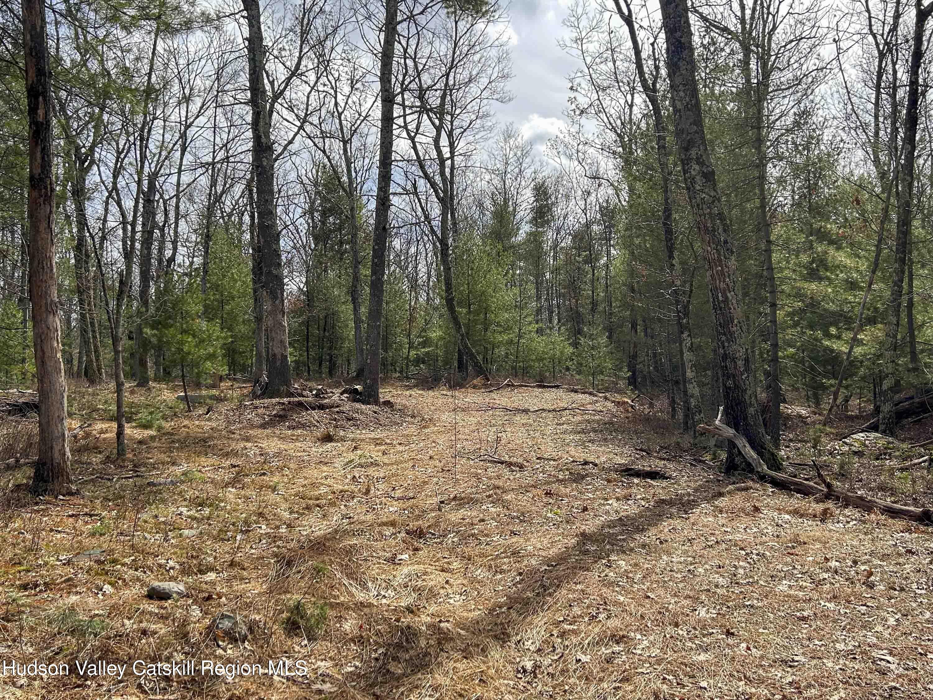 701 Lapla Road Marbletown, NY 12401 - Photo 8 of 26 IMG_8970